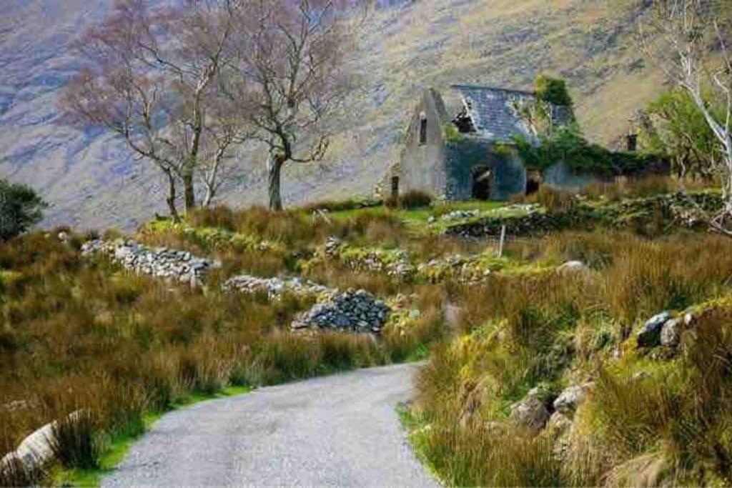 The Rose Suite Kenmare Exterior foto